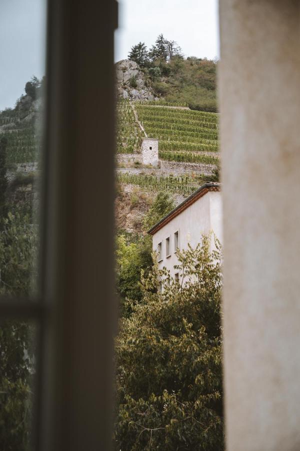 Apartment Le Dromardechois - Meuble 6 Personnes Sur Rhone - Ecolodgite Tournon-sur-Rhone